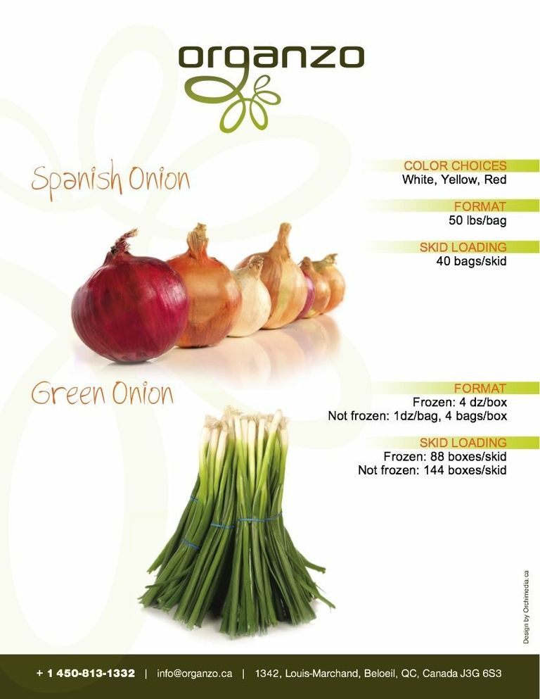 Spanish onion Organzo