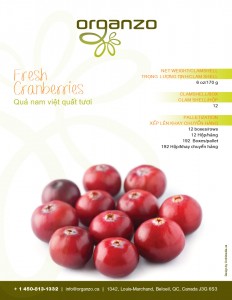 Cranberries-vn